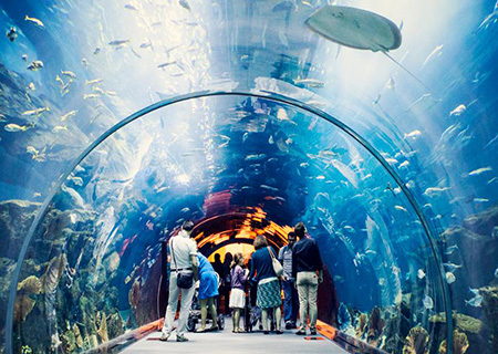 Acquario di Dubai e Zoo