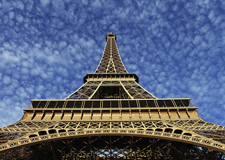 Tour in Bus e Torre Eiffel 