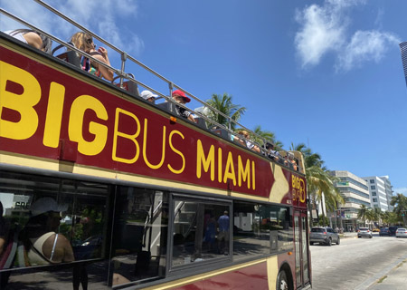 Big Bus Tours Miami 