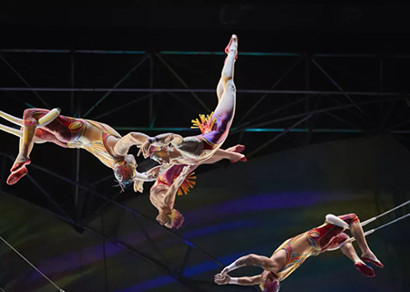 Mystere Cirque du Soleil 