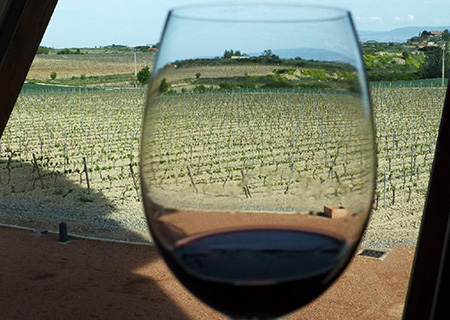 Tour durch die Weingebiete Vitoria und La Rioja
