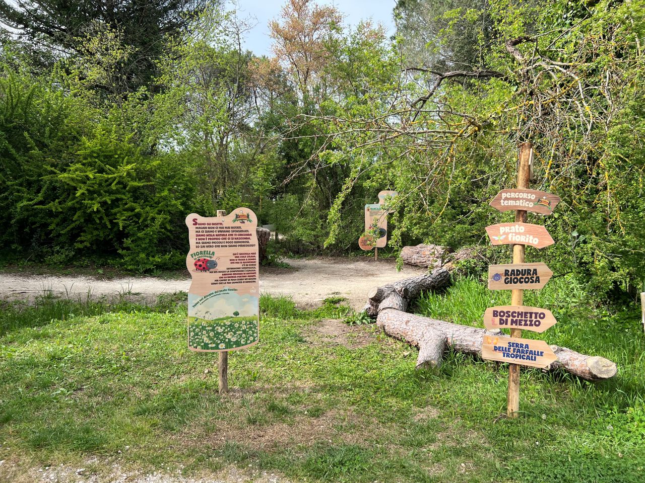 Gallery image 11