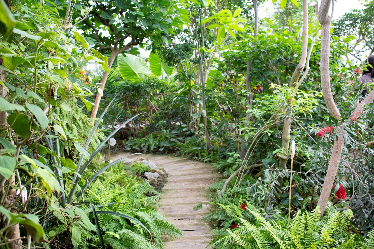 Gallery image 3